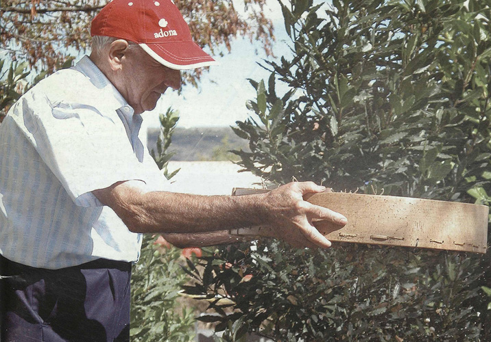 PATRIMONIO INMATERIAL